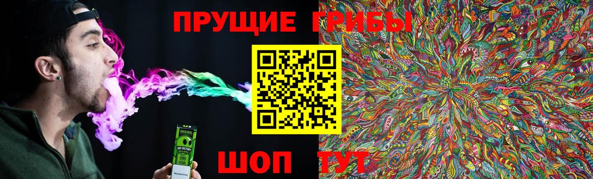 Галлюциногенные грибы GOLDEN TEACHER  Псилоцибиновые грибы мицелий  Алексин  Вход с VPN 
