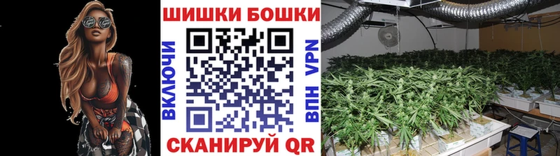 МАРИХУАНА ГИДРОПОН MEGA как зайти Алексин